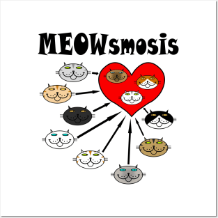 MEOWsmosis Posters and Art